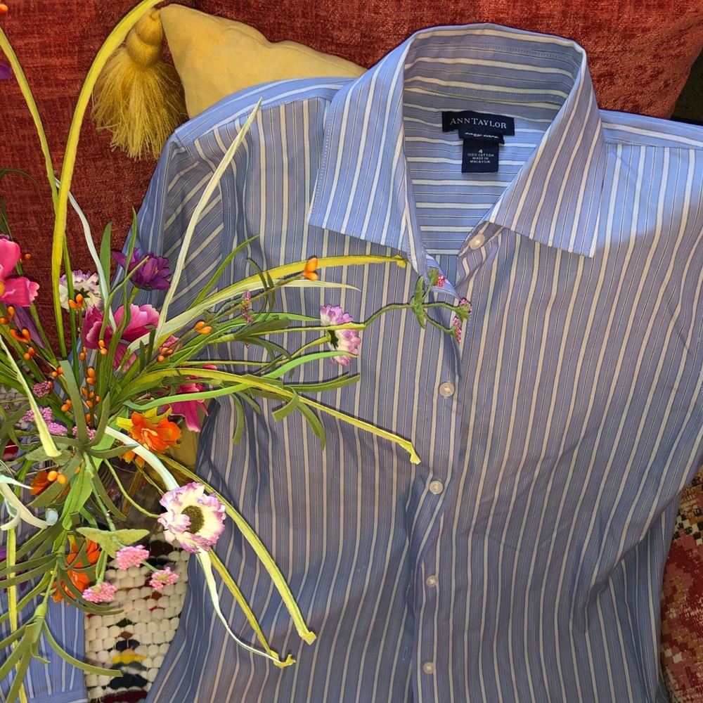 Ann Taylor Blue button down blouse